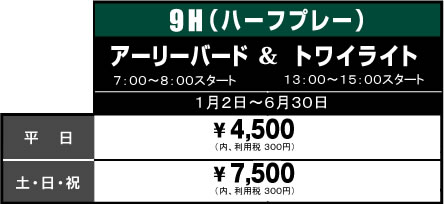 ハーフプレー料金表